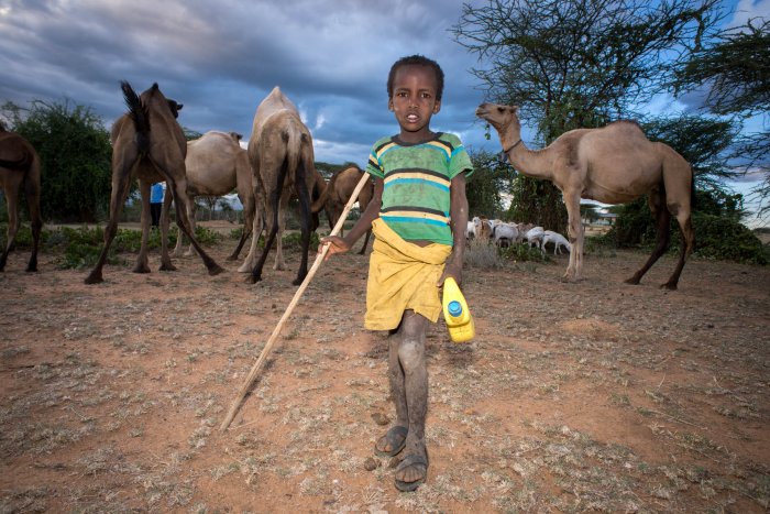 Lchekutis, los niños pastores masai